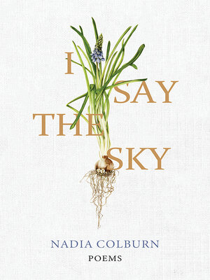 I Say the Sky - ebook